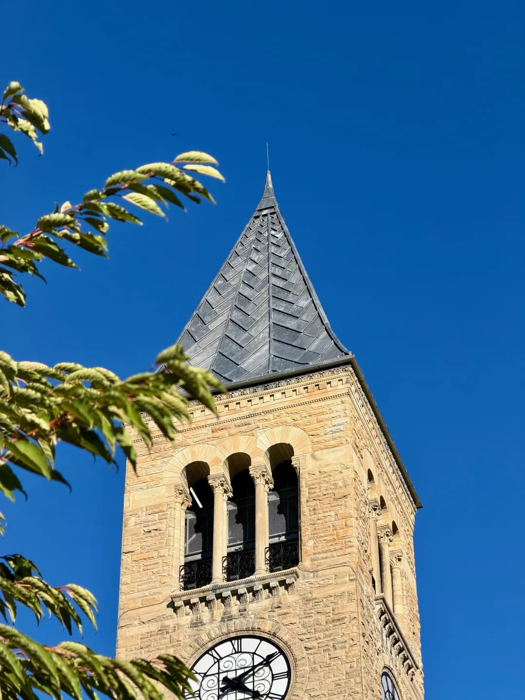 McGraw Tower entre folhas na Cornell University